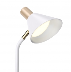 Eye-protection LED Desk Lamp With Pen Holder And Wireless Charger
